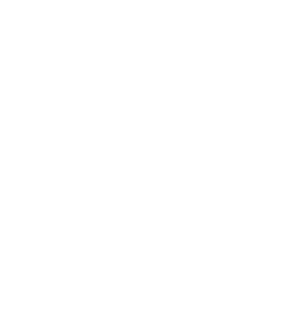 ماناجمنت بوينت